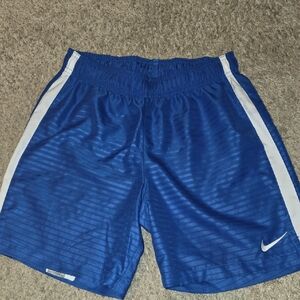 Nike Royal Blue Training Shorts